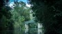 Canal de la Venise verte