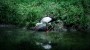 Reportage sur la Venise verte, Marais Poitevin